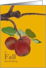 Celebrating A Fall Birthday Lovely Red Apples On A Branch card