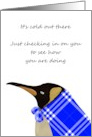 Thinking of You It is Cold Out There Penguin Wearing Shawl card