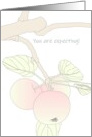 Congratulations Expecting Apples on a Branch in Soft Shades card