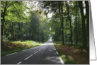 Bon Voyage Sun Dappled Road Through Beech Forest card