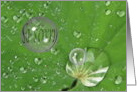 Sympathy Tears Like Raindrops on Leaf card