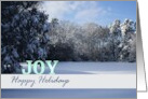 Joy and Happy Holidays a Snow Covered Lawn Christmas card