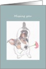Hand Drawn Jack Russell with Flower in his Mouth Missing You card