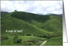 Invitation Let’s Do Tea Tea Plantation card