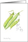 Fresh Green Peas Vegetable card