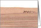 A Camel Train In The Desert Blank card