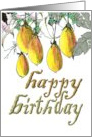 Birthday Sketch of Forest Fruits Hanging Down Amongst Foliage card