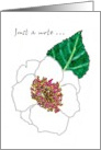 Sketch Of A Camellia Flower Blank card
