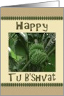 Tu B’Shvat Bananas On The Tree card