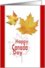Happy Canada Day The Color Palette Of A Maple Leaf card
