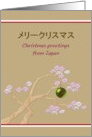 Christmas Greetings From Japan Sakura Blossoms card