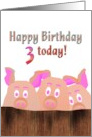 3rd Birthday Piggies Behind A Wooden Fence card
