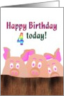 4th Birthday Piggies Behind A Wooden Fence card