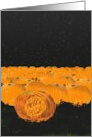 Halloween A Field Of Pumpkins All Lit Up card