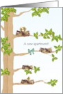 Congratulations New Apartment Birds’ Nests on Branches card