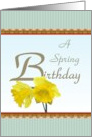 A Spring Birthday Yellow Daffodils card