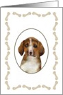 Blank Note Card Beagle Puppy card