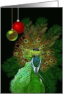 Peacock And Baubles Christmas Greeting card