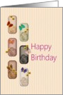 Birthday, Floral lockets and butterflies card