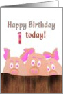 1st Birthday Piggies Behind A Wooden Fence card