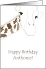 Birthday Greeting for Anthonie card