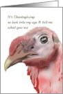 Thanksgiving Humor Look Into the Turkey’s Eye and See the Word Pork card