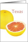 Texas Grapefruit State Fruit Symbol Blank card