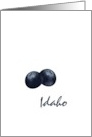 Idaho Huckleberry State Fruit Symbol Blank card