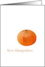 New Hampshire Pumpkin State Fruit Symbol Blank card