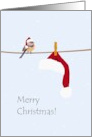 Chirpy Christmas Greeting Bird On Washing Line Santa’s Hat card