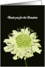 Thank You for Your Donation in Memory Of Scabiosa Flower card