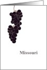 Missouri Grape State Fruit Symbol Blank card