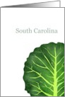 South Carolina Collard Greens State Vegetable Blank card