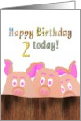 2nd birthday, Piggies looking over a wooden fence card