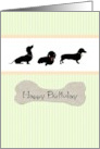 Birthday Dachshunds and a Juicy Bone card