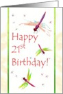 21st birthday, colorful dragonflies and glassy borders card