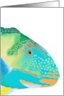 Colorful Parrot Fish Blank card
