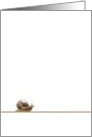 Snail Moving Along Blank card