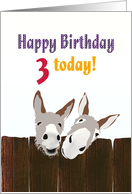 3rd birthday, Donkeys looking over wooden fence card