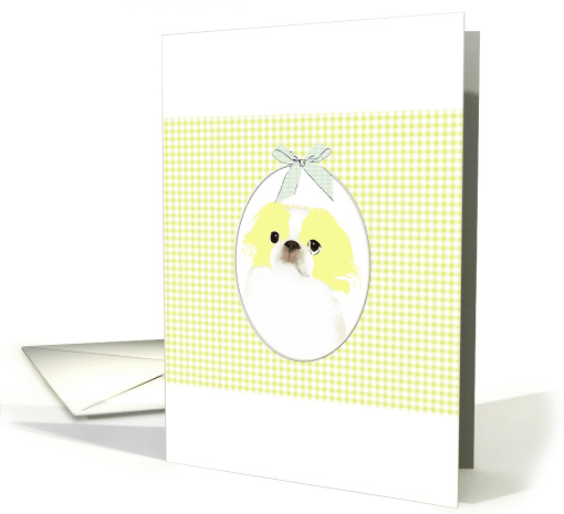 Japanese Chin in Lemon and White Coat Blank card (1037807)