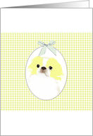 Japanese Chin in Lemon and White Coat Blank card