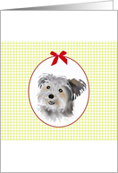 Doggy Eyes Blank card