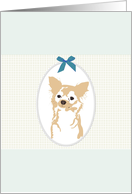 Cute Chihuahua Blank card