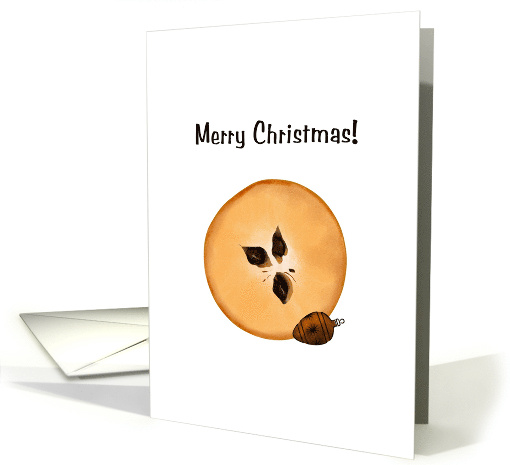 Christmas A Slice of Sapodilla Fruit with Bauble Seeds card (1040877)