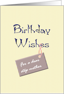 Birthday for Step Mother Warm Wishes card