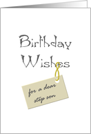 Birthday for Step Son Warm Wishes card
