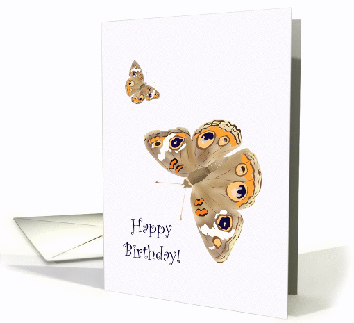 Birthday, Pretty butterflies card (1045787)