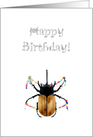 Birthday, beetle greeting card