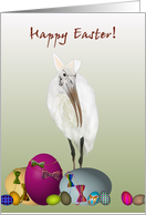 Wood Stork with Bunny Ears Easter card