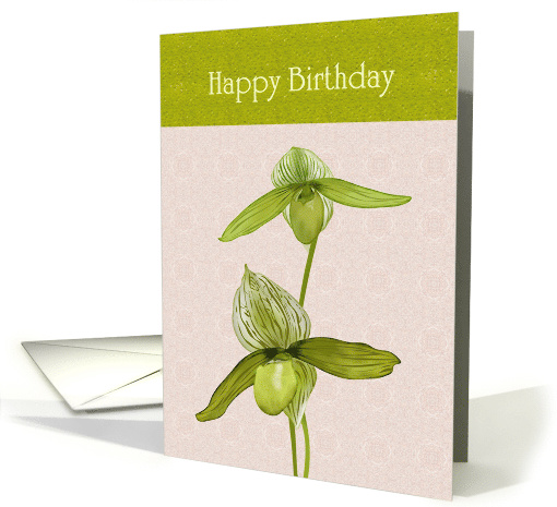 Birthday Green Orchids Against Pink Patterned Background card